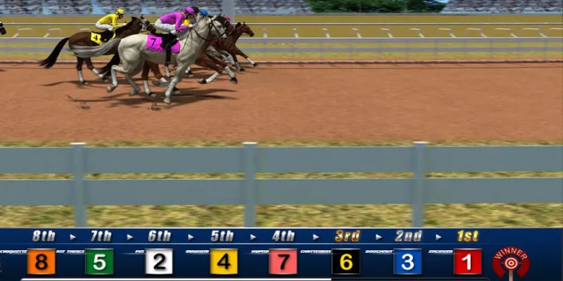 Đua ngựa online XO88 - Chơi là mê, cược là thắng lớn 3 Một số cách chơi cá cược đua ngựa online XO88 hiệu quả