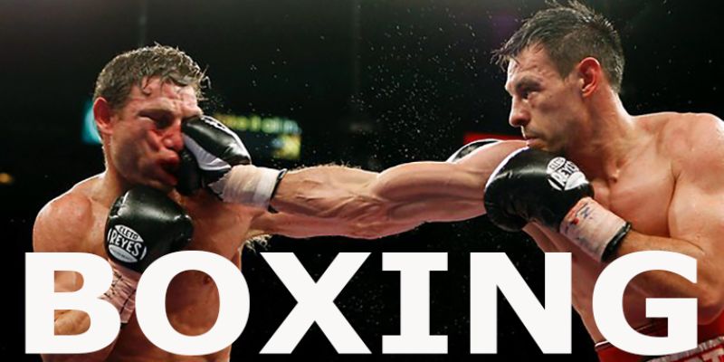 Cá cược boxing XO88 và một số thông tin cho tân thủ 3 Các loại hình cá cược boxing XO88 chất lượng